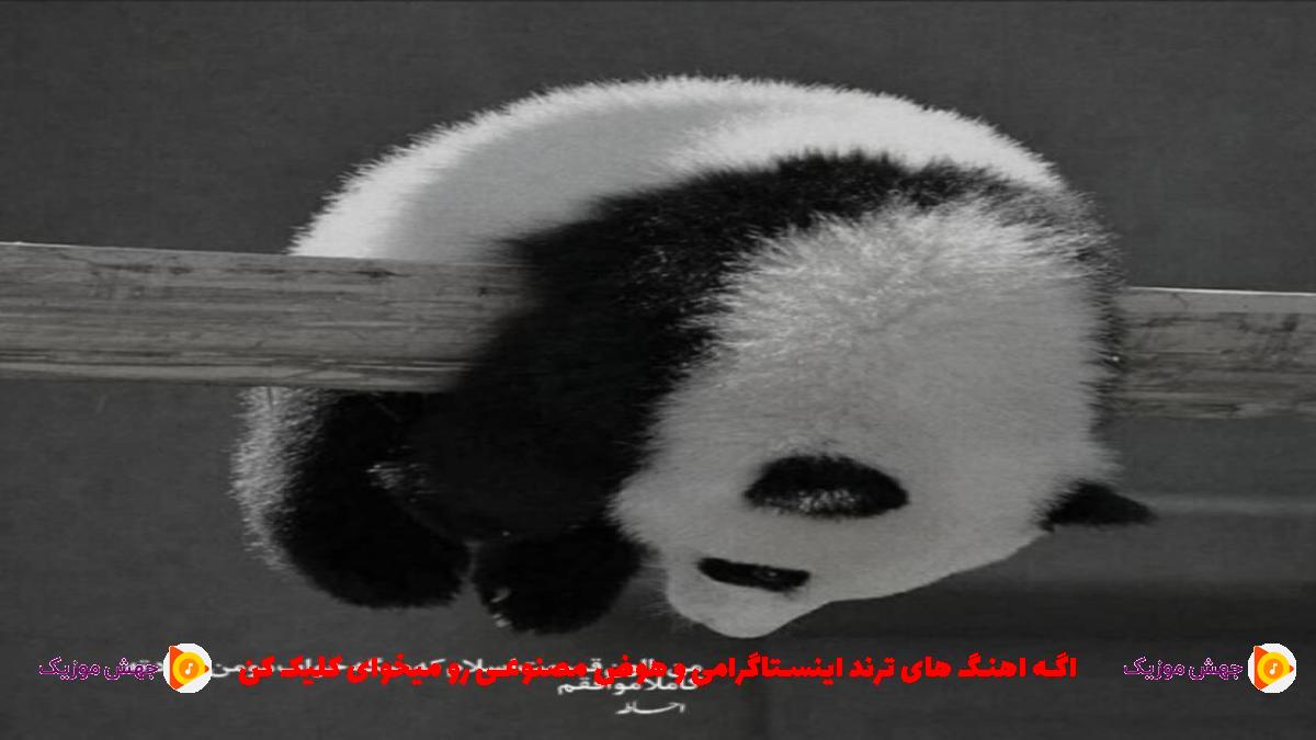 دانلود آهنگ رابطمون دیگه فقط جنگه ولم کردی رفتی از 